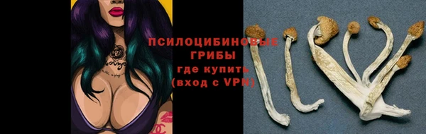 гидра Навашино