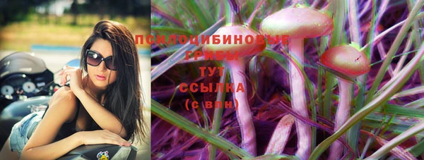 хмурый Наволоки