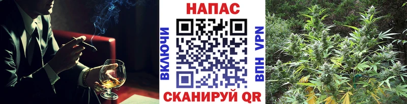 Каннабис OG Kush  Терек 